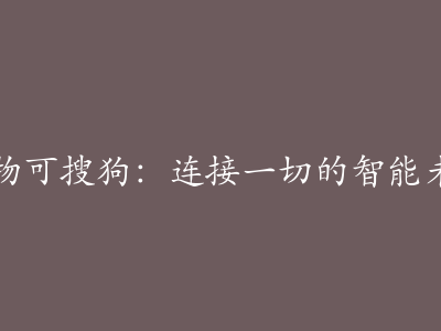 万物可搜狗：连接一切的智能未来